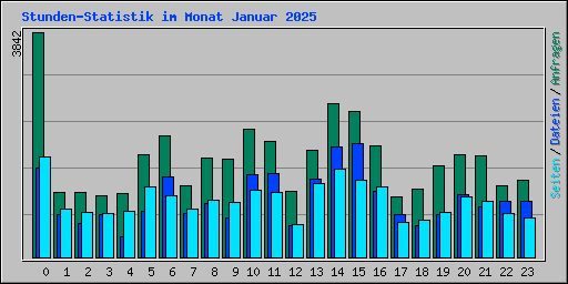 Stunden-Statistik im Monat Januar 2025