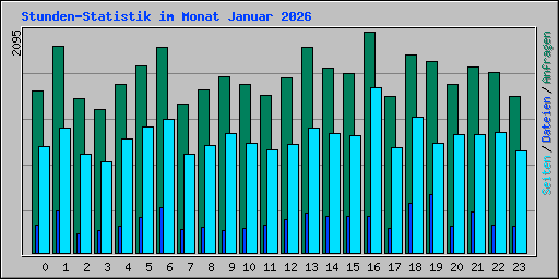 Stunden-Statistik im Monat Januar 2026